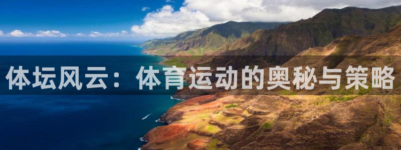 vsport体育在线官网