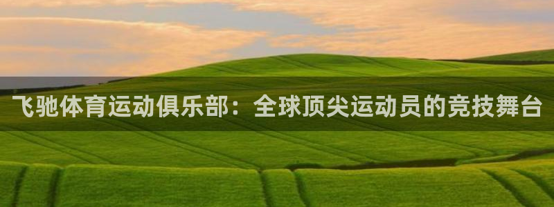 vsport体育在线官网