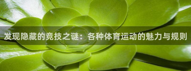 vsport体育在线官网