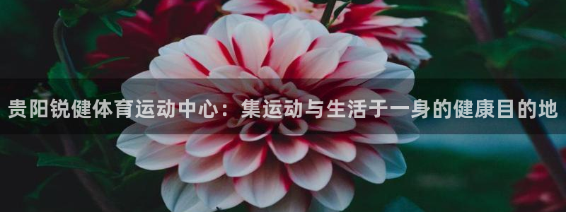 vsport体育