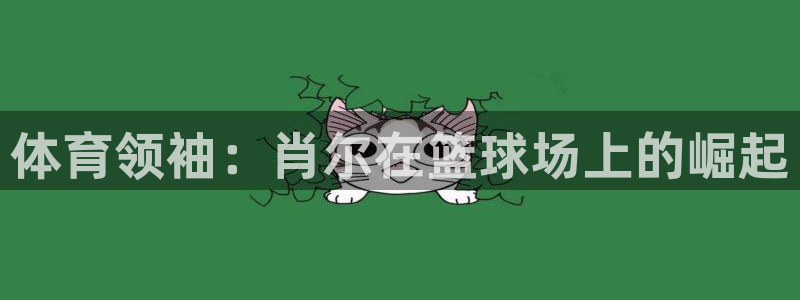 vsport体育