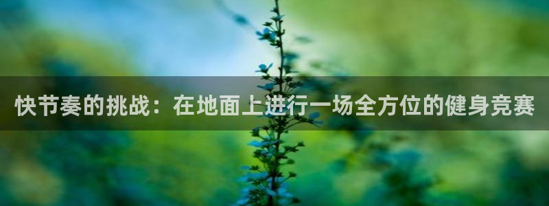 vsport体育在线官网