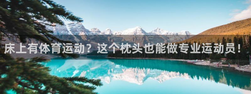 vsport体育在线官网