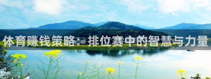 vsport体育在线官网